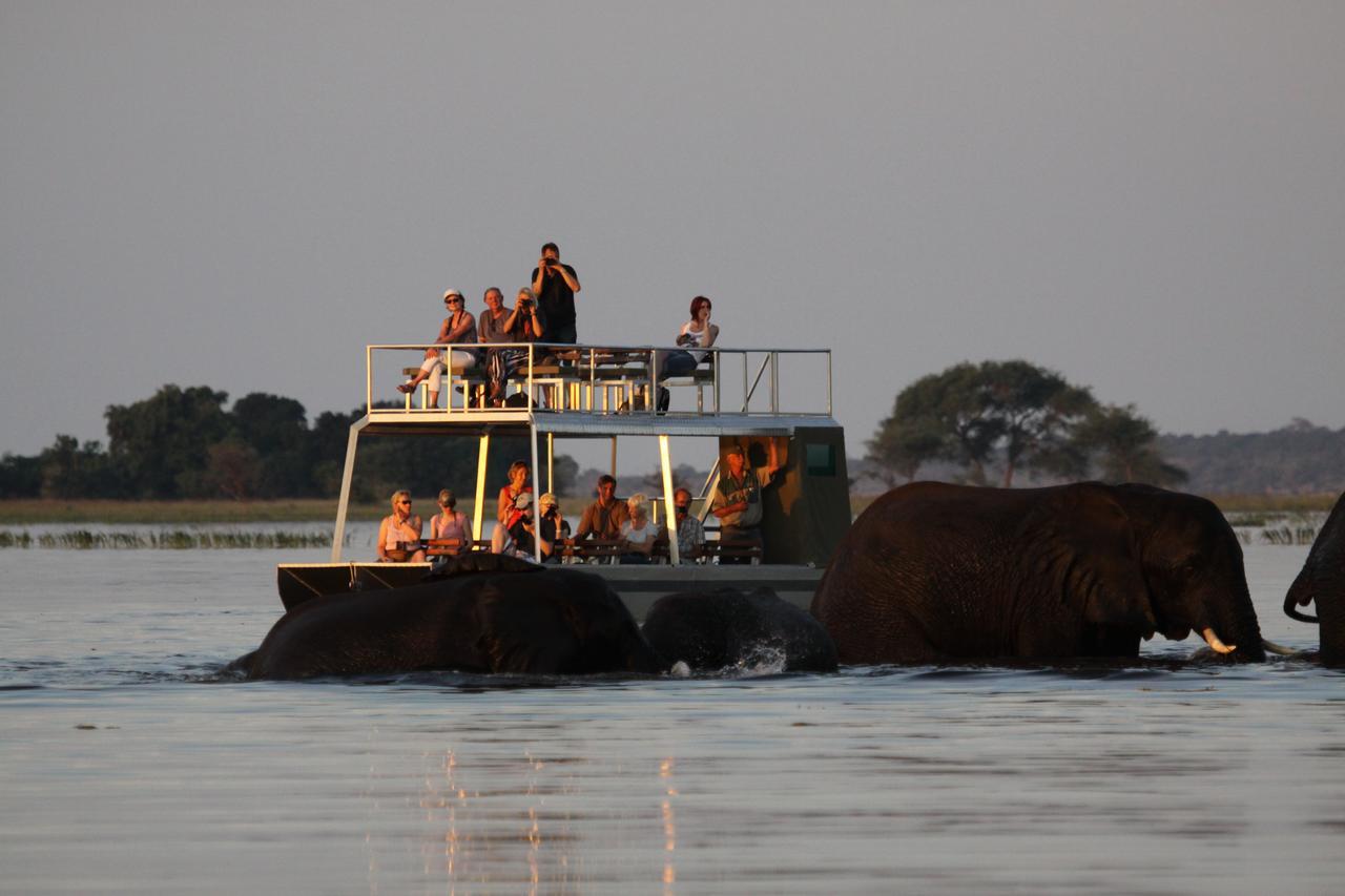 Chobe River Camp Ngoma Buitenkant foto